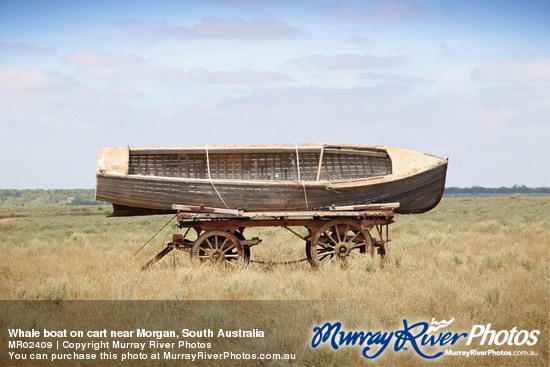 Whale boat on cart near Morgan, South Australia