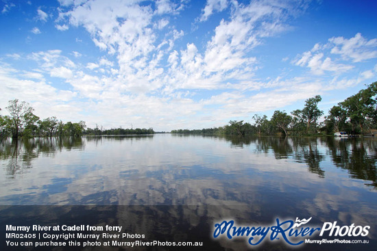 Murray River at Cadell from ferry
