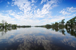 Murray River at Cadell from ferry