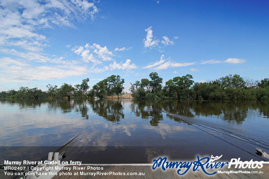 Murray River at Cadell on ferry