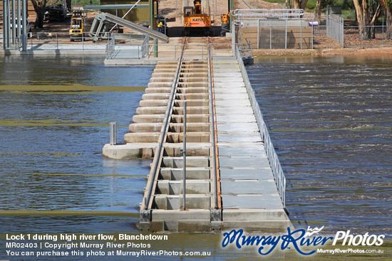 Lock 1 during high river flow, Blanchetown