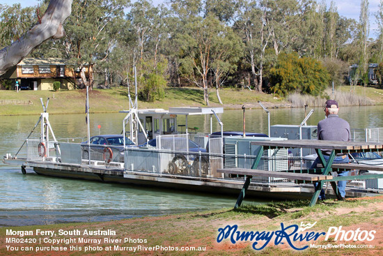 Morgan Ferry, South Australia