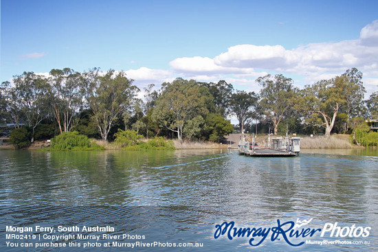 Morgan Ferry, South Australia