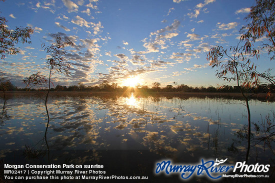 Morgan Conservation Park on sunrise