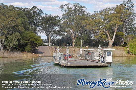 Morgan Ferry, South Australia