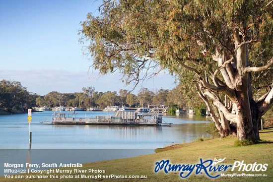 Morgan Ferry, South Australia