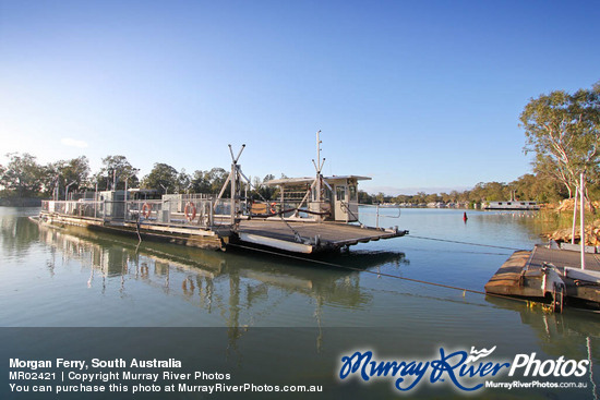 Morgan Ferry, South Australia