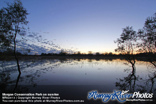 Morgan Conservation Park on sunrise