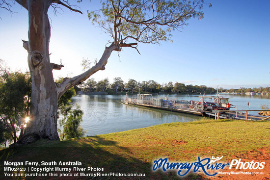 Morgan Ferry, South Australia