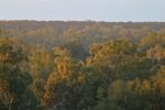 Looking across Morgan Conservation Park