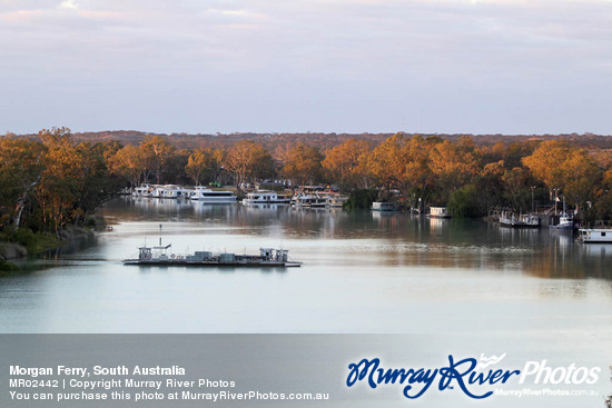 Morgan Ferry, South Australia