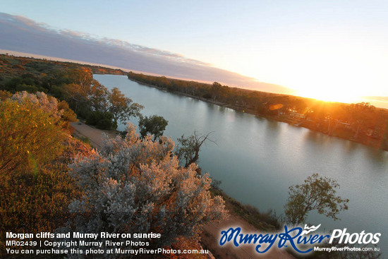 Morgan cliffs and Murray River on sunrise