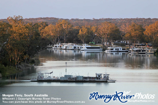 Morgan Ferry, South Australia