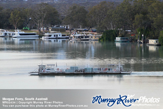 Morgan Ferry, South Australi