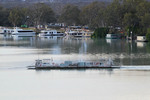 Morgan Ferry, South Australi