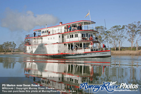 PS Marion near Swan Reach