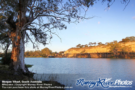 Morgan Wharf, South Australia