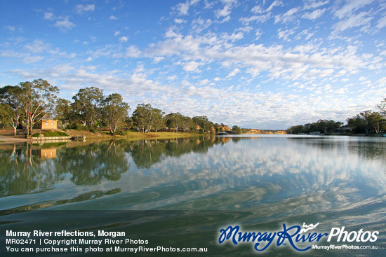 Murray River reflections, Morgan