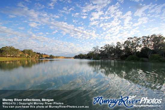 Murray River reflections, Morgan