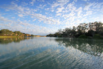 Murray River reflections, Morgan