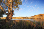 Morgan cliffs and river red gums