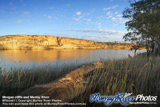 Morgan cliffs and Murray River