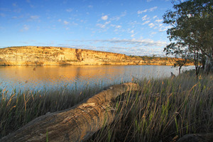 Morgan cliffs and Murray River