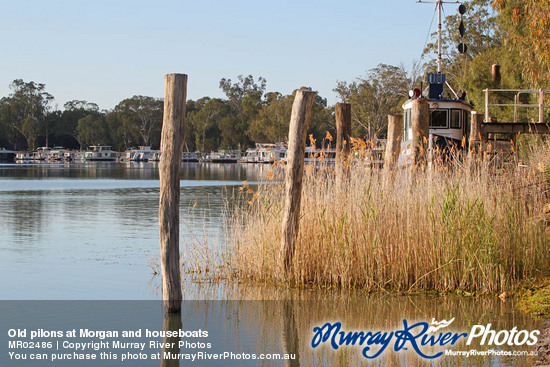 Old pilons at Morgan and houseboats