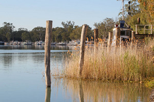 Old pilons at Morgan and houseboats