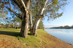 Morgan Riverfront, South Australia