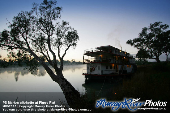 PS Marion silohette at Piggy Flat