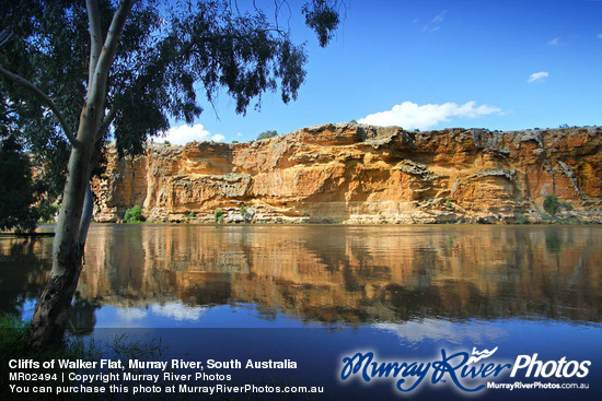 Cliffs of Walker Flat, Murray River, South Australia
