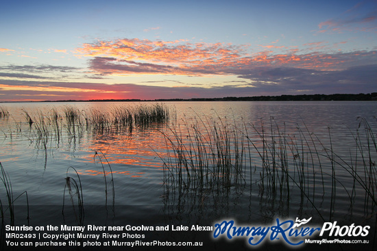 Sunrise on the Murray River near Goolwa and Lake Alexandrina