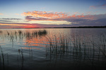 Sunrise on the Murray River near Goolwa and Lake Alexandrina