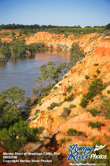 Murray River at Headings Cliffs, Riverland
