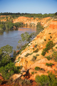 Murray River at Headings Cliffs, Riverland