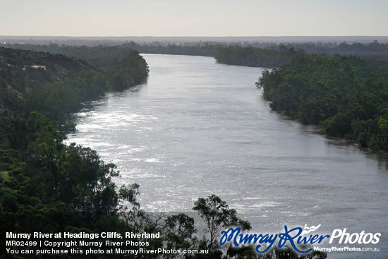 Murray River at Headings Cliffs, Riverland