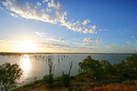 Sunrise, Trees, Riverland, South Australia, Kingston-on-Murray