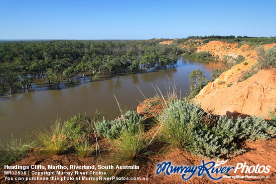 Headings Cliffs, Murtho, Riverland, South Australia