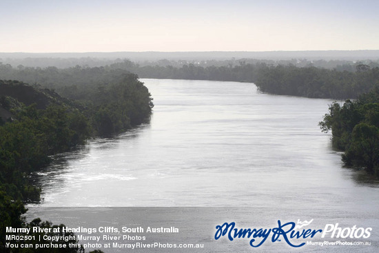 Murray River at Headings Cliffs, South Australia
