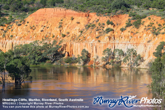 Headings Cliffs, Murtho, Riverland, South Australia