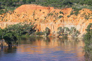 Headings Cliffs, Murtho, Riverland, South Australia