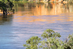 Headings Cliffs, Murtho, Riverland, South Australia