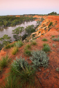 Headings cliffs on last light, Murtho, Riverland