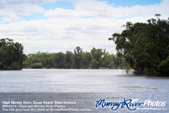 High Murray River, Swan Reach-Blanchetown