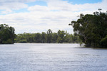 High Murray River, Swan Reach-Blanchetown