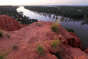 Headings cliffs on last light, Murtho, Riverland