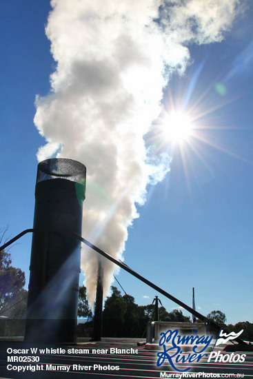 Oscar W whistle steam near Blanchetown