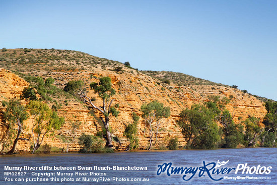 Murray River cliffs between Swan Reach-Blanchetown