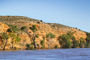 Murray River cliffs between Swan Reach-Blanchetown